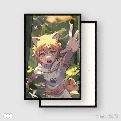 【追蝴蝶】12x18双闪亚克力色纸